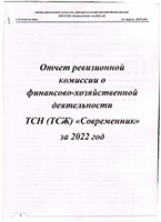 Отчёт ревизионной комиссии за 2022 год